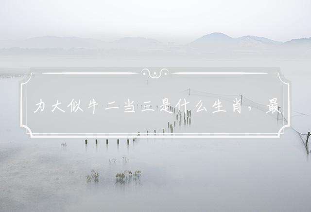 力大似牛二当三是什么生肖，最佳解析落实