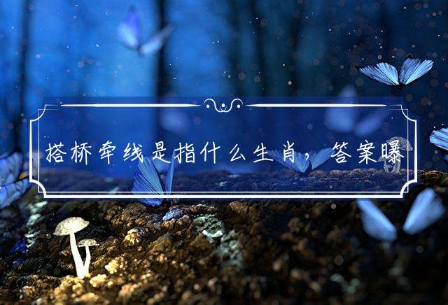 搭桥牵线是指什么生肖，答案曝光落实