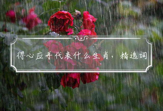 得心应手代表什么生肖，精选词语落实