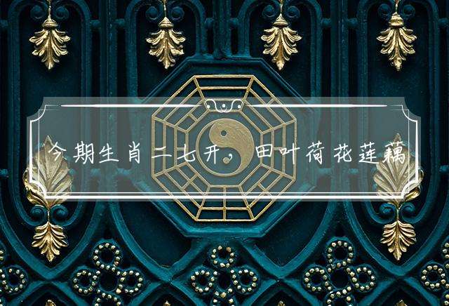 今期生肖二七开，田叶荷花莲藕香指什么生肖，已答解释落实