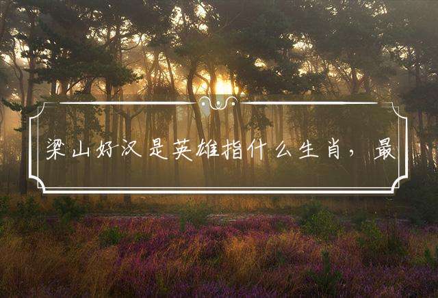 梁山好汉是英雄指什么生肖，最新释义解释落实