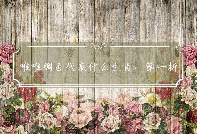 唯唯绸否代表什么生肖，第一析释落实