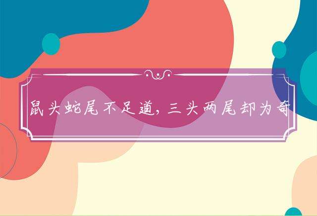 鼠头蛇尾不足道,三头两尾却为奇指打一最佳生肖，精准谜底解释
