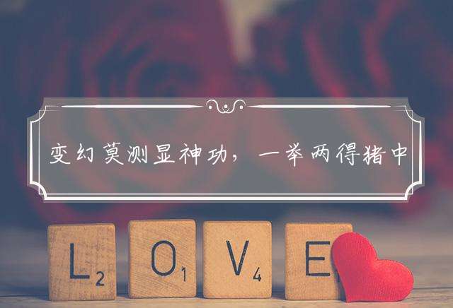 变幻莫测显神功，一举两得猪中计打一个生肖是代表什么生肖，精选释义揭晓解析