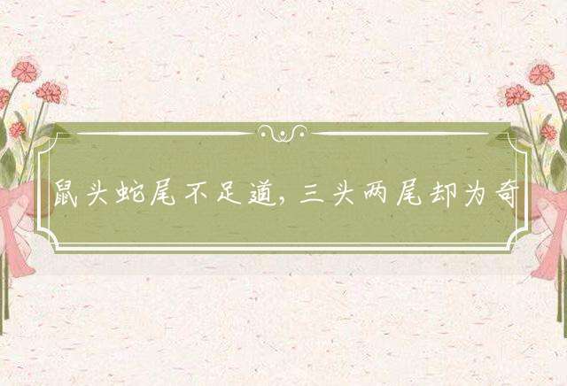 鼠头蛇尾不足道,三头两尾却为奇指什么生肖，最新解释落实