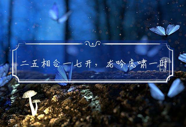 二五相合一七开，龙吟虎啸一时发打一最佳生肖词语解释