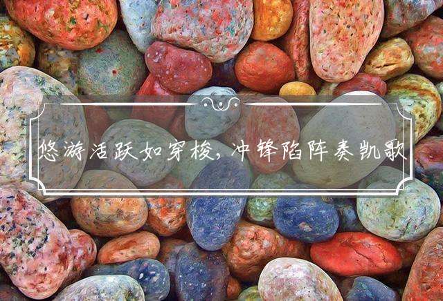 悠游活跃如穿梭,冲锋陷阵奏凯歌是什么生肖：详细解释落实