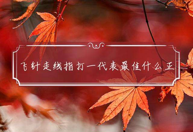 飞针走线指打一代表最佳什么正确生肖，词语解释谜底释义解析