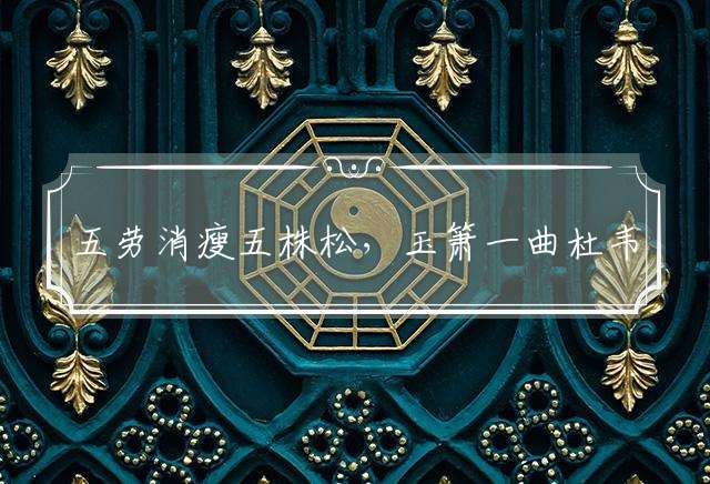 五劳消瘦五株松，玉箫一曲杜韦娘打一个最佳生肖解谜