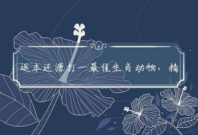 返本还源打一最佳生肖动物，精选词语释义