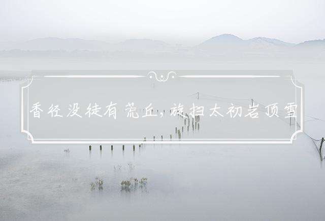 香径没徒有荒丘,旋扫太初岩顶雪指什么生肖,精选详情解释