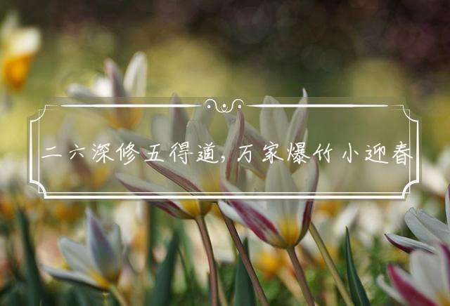 二六深修五得道,万家爆竹小迎春精选最佳什么生肖，详细释义谜底解释