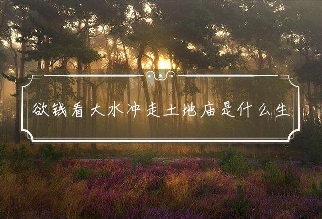 欲钱看大水冲走土地庙是什么生肖，词语解译解释