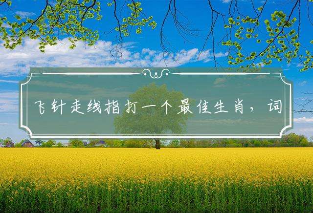 飞针走线指打一个最佳生肖，词语解释谜底释义落实