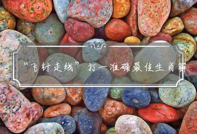 “飞针走线”打一准确最佳生肖解析