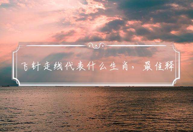 飞针走线代表什么生肖，最佳释义解释