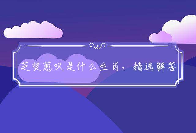 芝焚蕙叹是什么生肖，精选解答落实答案