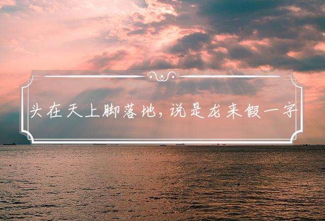 头在天上脚落地,说是龙来假一字打一最佳生肖精选释义谜题解析