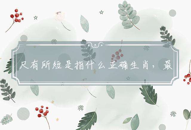 尺有所短是指什么正确生肖，最佳释义成语作答解析