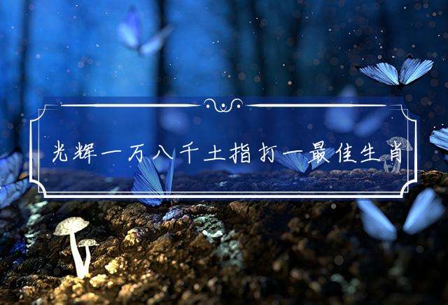 光辉一万八千土指打一最佳生肖，精准释义解释