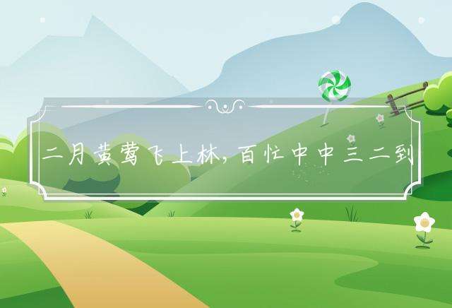 二月黄莺飞上林,百忙中中三二到打一最佳生肖释义解释