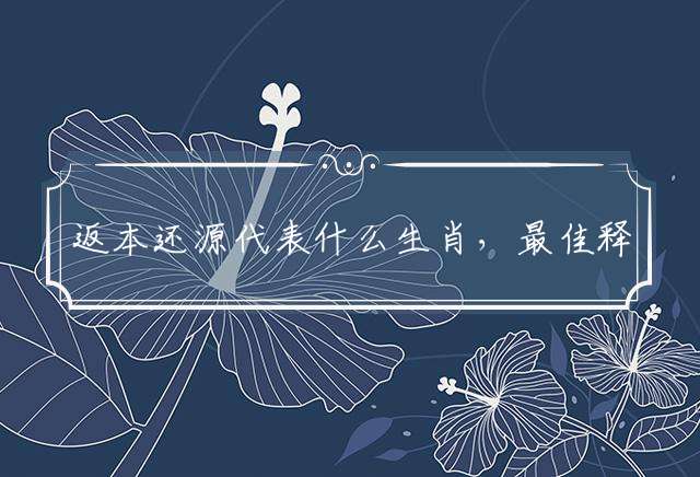 返本还源代表什么生肖，最佳释义解释