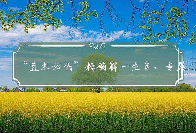 “直木必伐”精确解一生肖，专属释义成语解析
