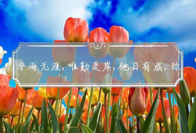 学海无涯,唯勤是岸,他日有成,称霸称王是指什么生肖，精选释义解答