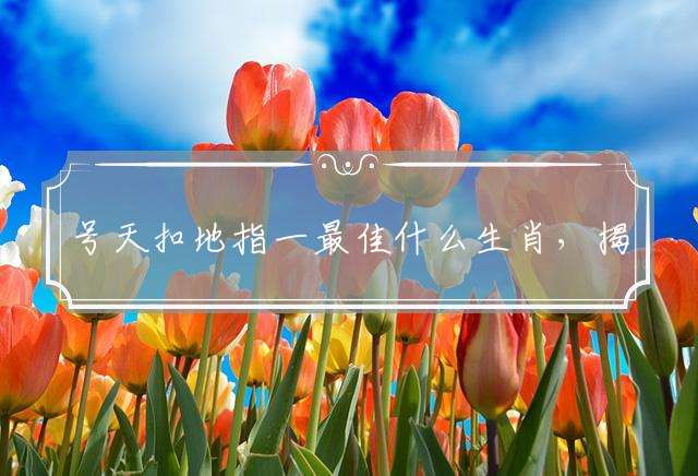 号天扣地指一最佳什么生肖，揭晓释义成语解释