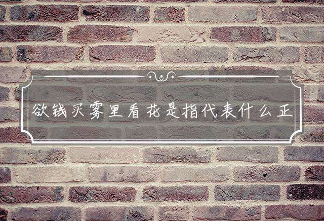 欲钱买雾里看花是指代表什么正确生肖，成语释义详情解析