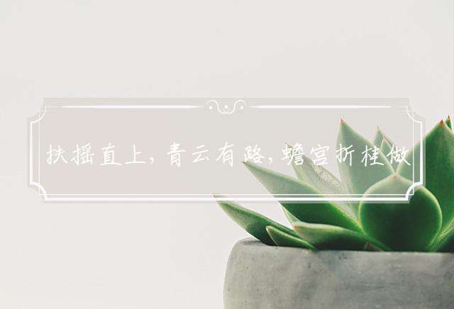 扶摇直上,青云有路,蟾宫折桂做得到指一个什么生肖最佳词语解释！