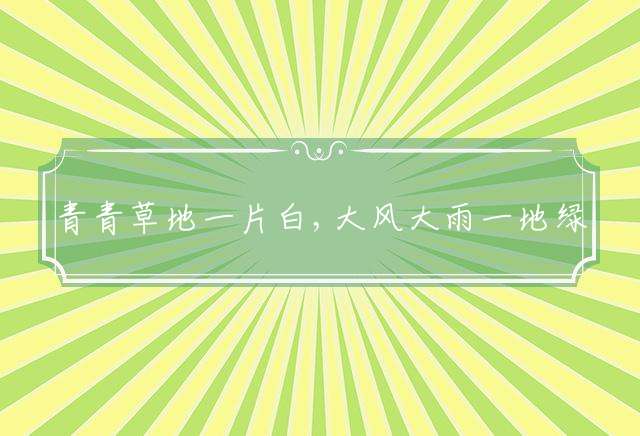 青青草地一片白,大风大雨一地绿打一最佳生肖，独家释义解释落实