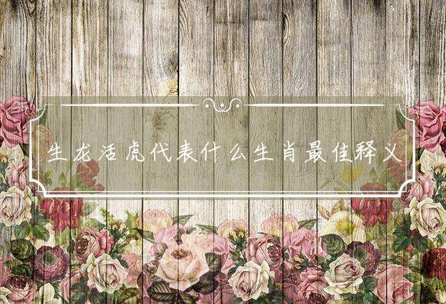 生龙活虎代表什么生肖最佳释义解释！