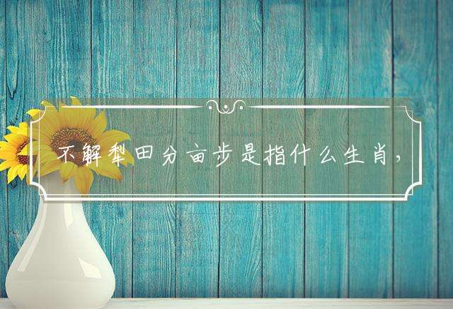 不解犁田分亩步是指什么生肖，成语解释释义
