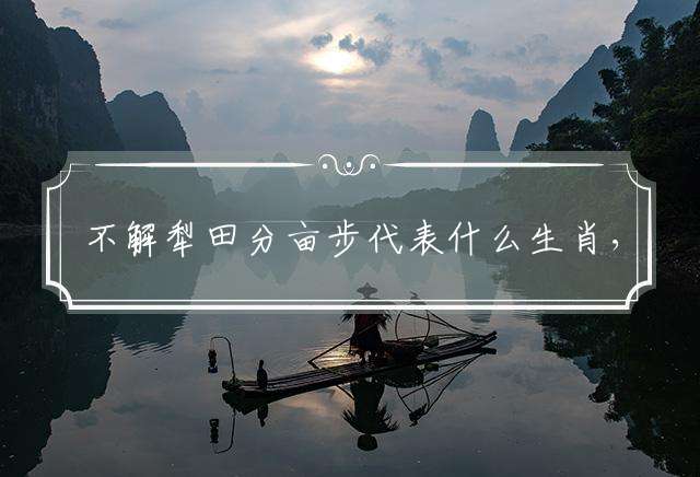 不解犁田分亩步代表什么生肖，最佳释义解释