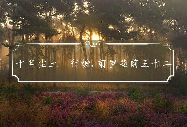 十年尘土涴行缠,前岁花前五十二代表最佳什么生肖谜团精选解释！