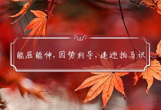 能屈能伸,因势利导,逢迎拍马识时务代表一个最佳生肖精选词语解释!
