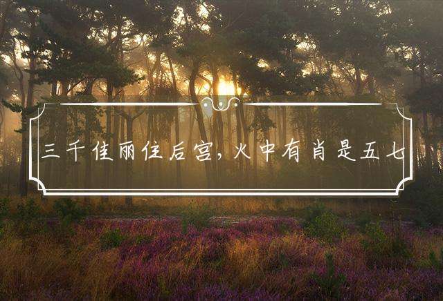 三千佳丽住后宫,火中有肖是五七指哪个生肖精选解释释义落实！