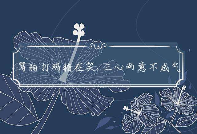 骂狗打鸡猪在笑,三心两意不成气代表什么生肖精选释义谜团解释！