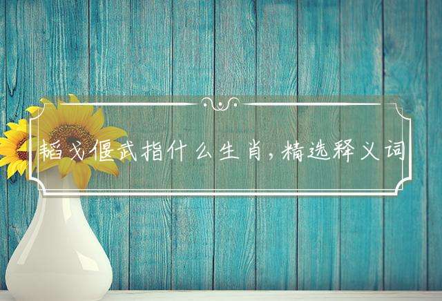 韬戈偃武指什么生肖,精选释义词语解释!