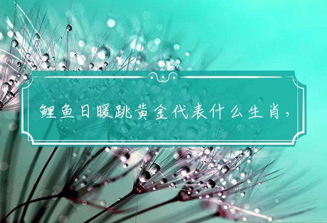 鲤鱼日暖跳黄金代表什么生肖，释义最佳解释