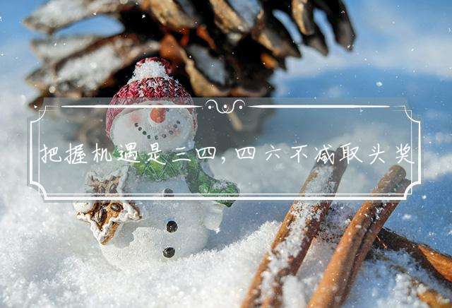 把握机遇是三四,四六不减取头奖代表什么生肖,精选释义谜团解释！