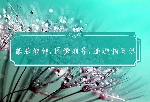 能屈能伸,因势利导,逢迎拍马识时务,扶摇直上,青云有路,蟾宫折桂做得到指是什么生肖释义解释！