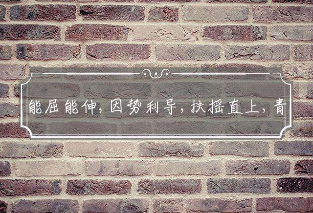 能屈能伸,因势利导,扶摇直上,青云有路代表什么生肖，最佳谜题解释！