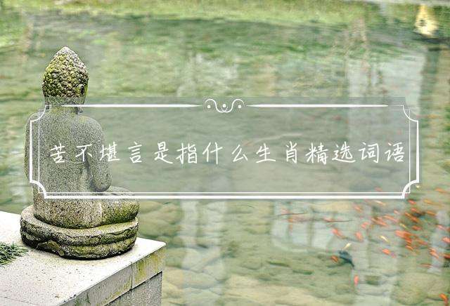 苦不堪言是指什么生肖精选词语释义解释！