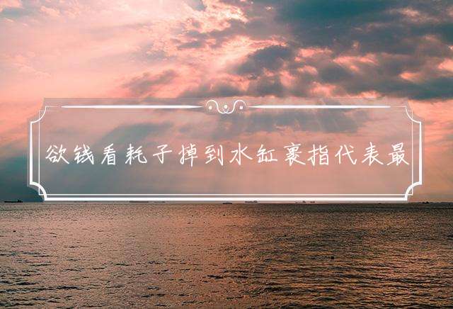 欲钱看耗子掉到水缸裹指代表最佳什么生肖精选释义揭晓！
