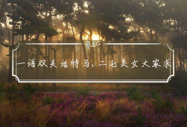 一语双关话特马,二七美女大家求指代表最佳什么生肖,谜团精选解释！