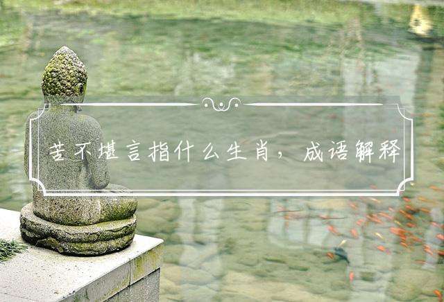 苦不堪言指什么生肖，成语解释落实释义
