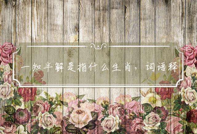 一知半解是指什么生肖，词语释义解释
